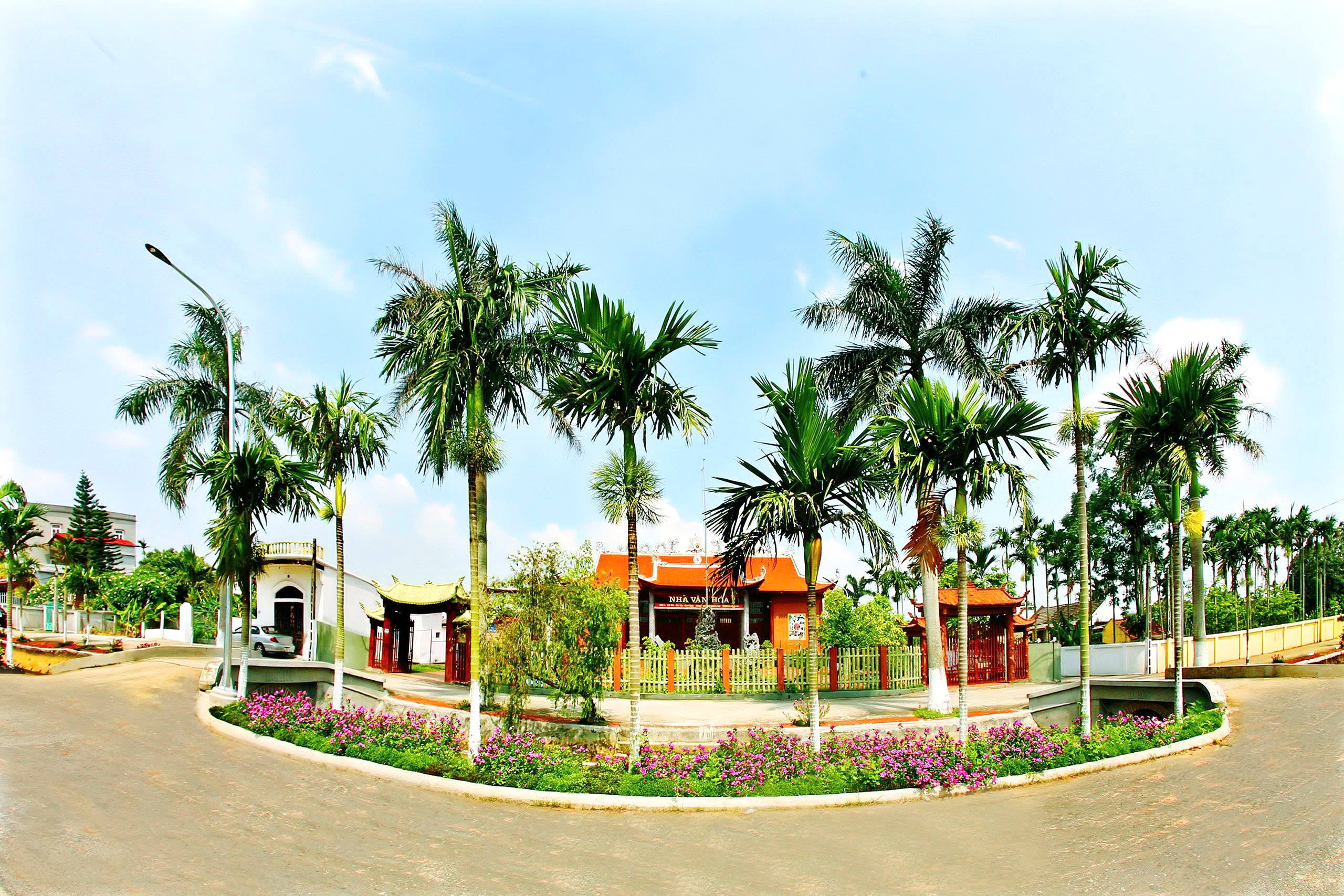 anh tin bai